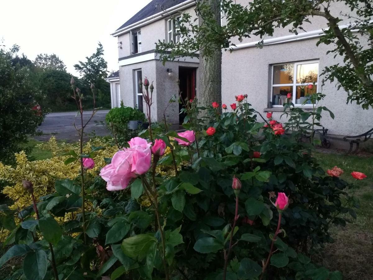 Lisieux House On Lough Neagh Bed and Breakfast Aghalee Eksteriør billede